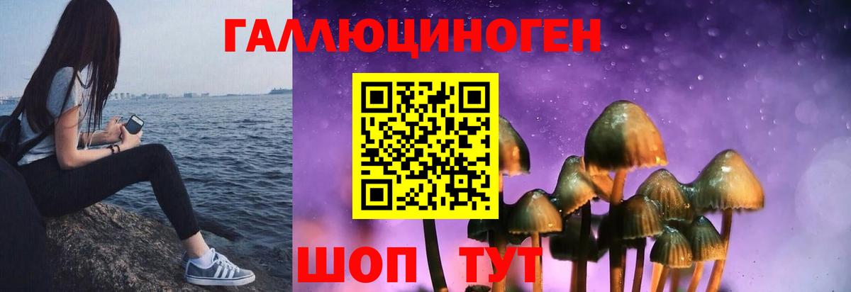 Псилоцибиновые грибы ЛСД  Псилоцибиновые грибы MAGIC MUSHROOMS  Сорочинск  Вход с VPN 